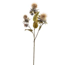 THISTLE SPRAY X3 60CM VANILLE