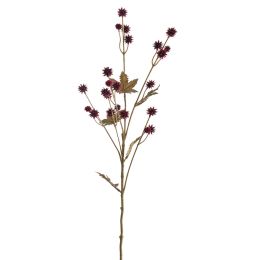 SANICULA SPRAY 70CM BURGUNDY