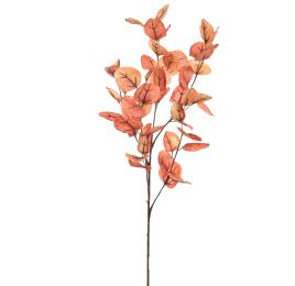EUCALYPTUS X5 DRY 90CM ORANGE RED