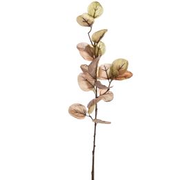 EUCALYPTUS DRY 60CM GREEN