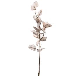 EUCALYPTUS DRY 60CM GREY