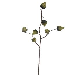 LANTERN SPRAY 82CM DARK GREEN