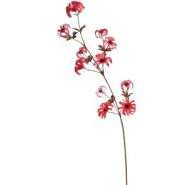 WILD CLEMATIS FRUIT 110CM CORAL