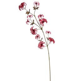 WILD CLEMATIS FRUIT 110CM RED