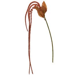 AMARANTHUS 60CM ORANGE