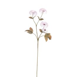 CLEMATIS FRUIT SPRAY 72CM LILAC