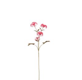 CLEMATIS FRUIT SPRAY 72CM RED
