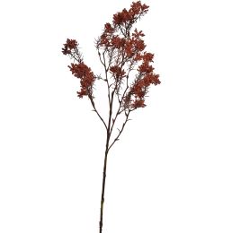 WILD GYPSO 70CM BURGUNDY