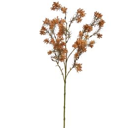 WILD GYPSO 70CM OCRE