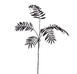 CHAMEADORA BRANCH 85CM BLACK