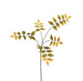 RHUS TYPHINA BRANCH 100CM GREEN YELLOW