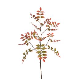 RHUS TYPHINA BRANCH 130CM GREEN RED