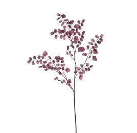 CELERY LEAF 100CM BURGUNDY