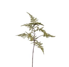 ASPARAGUS FLOCKED 75CM GREEN