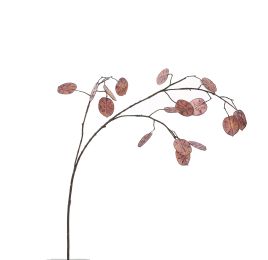 SILVER DOLLAR 80CM PURPLE