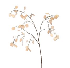 LARGE SILVER DOLLAR 110CM BEIGE