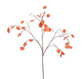 LARGE SILVER DOLLAR 110CM ORANGE