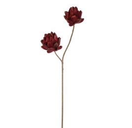 PROTEA 93CM BURGUNDY