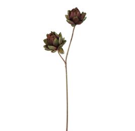 PROTEA 93CM GREEN