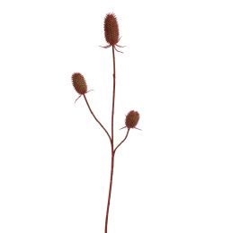 ECHINOPS BRANCH 99CM RED