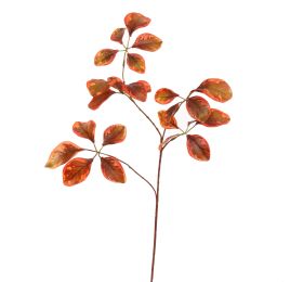 BEECH LEAF 74CM RED