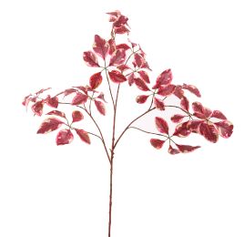 BEECH LEAF 103CM BEAUTY