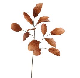 MAGNOLIA SPRAY 124CM BROWN