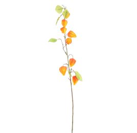 PHYSALIS 90CM ORANGE