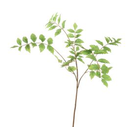 RHUS TYPHINA LEAF 105CM GREEN