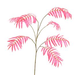 CHAMAEDOREA SPRAY 90CM BEAUTY