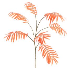 CHAMAEDOREA SPRAY 90CM ORANGE