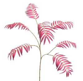 CHAMAEDOREA SPRAY 90CM PURPLE