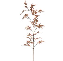 SORBUS LEAF 161CM BROWN