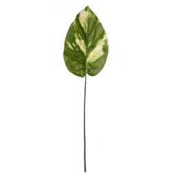 MEDIUM LEAF 54CM POTHOS