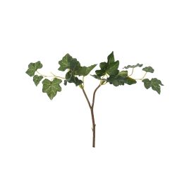 HEDERA LEAF PICK 18CM GREEN