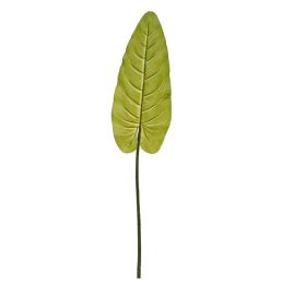 SINGLE ANTHURIUM LEAF GREEN