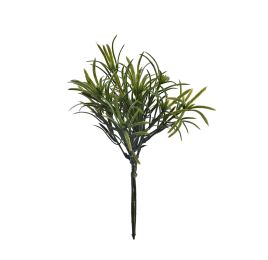 PODOCARPUS PICK X 3 GREEN