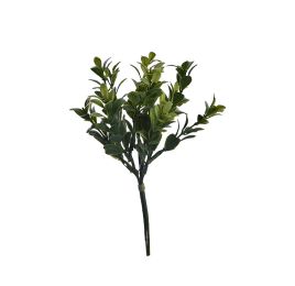 BOXWOOD LEAVES PICK X 3 GREEN