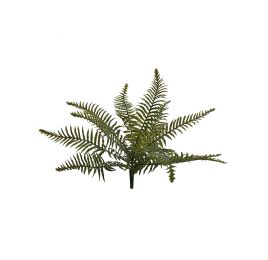BOSTON FERN X 12 GREEN