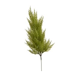 CYPRESS BUSH 52CM GREEN
