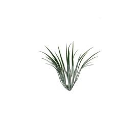 PLASTIC GRASS ->24046 AS SAMPLE