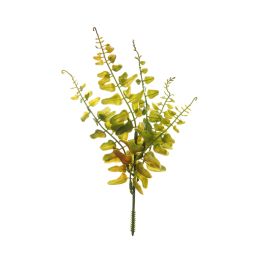 BOSTON FERN PICK X 5 22CM GREEN