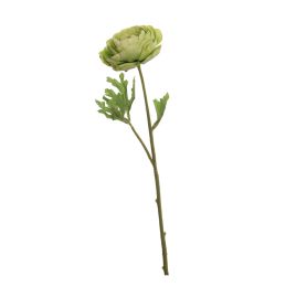 SINGLE RANUNCULUS 56CM GREEN