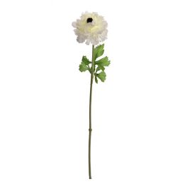 SINGLE RANUNCULUS 45CM CREAM