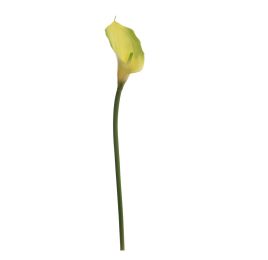SINGLE CALLA 72CM GREEN