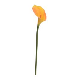 SINGLE CALLA YELLOW