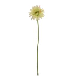 LARGE GERBERA 61CM GREEN