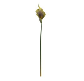 SMALL CALLA GREEN
