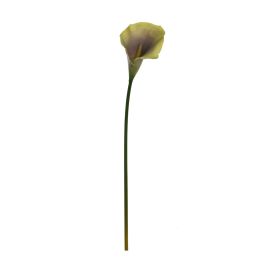 MEDIUM CALLA GREEN