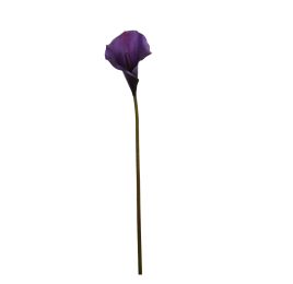 MEDIUM CALLA VIOLET